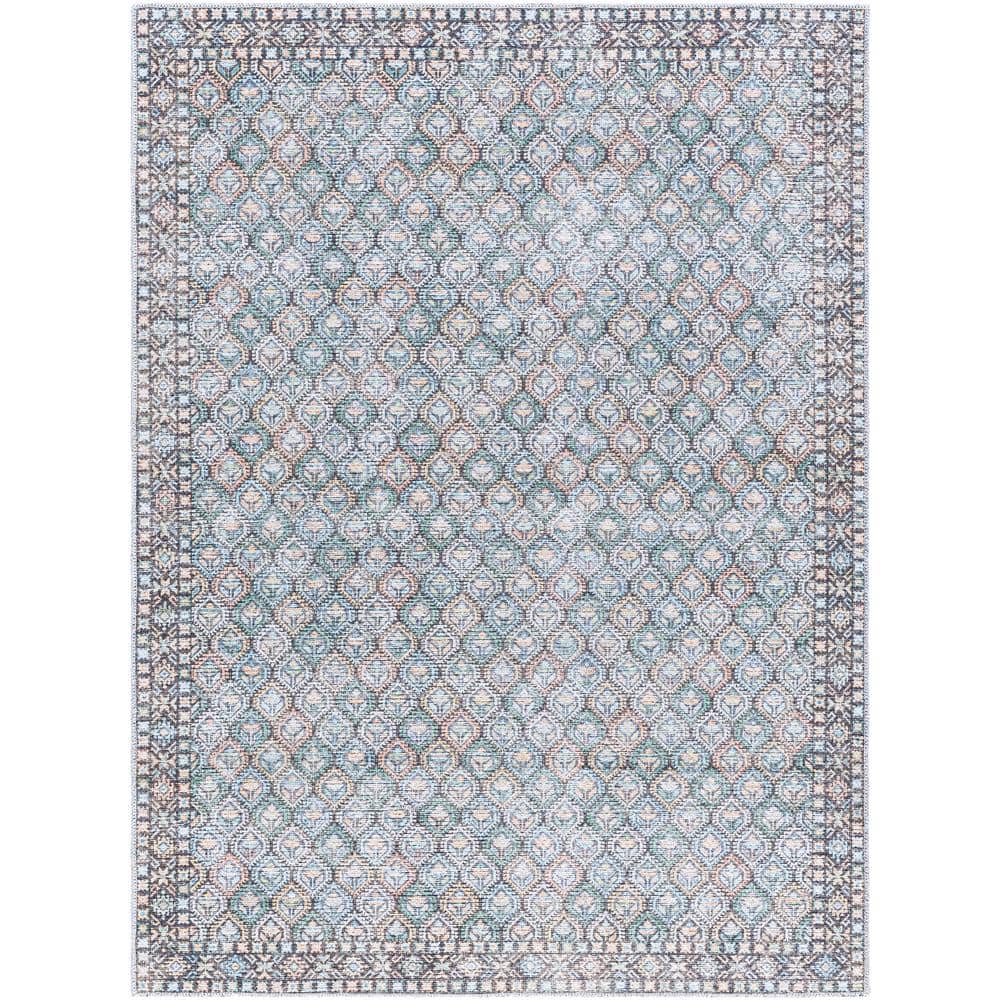 Vinny Sage 2 ft. x 3 ft. Traditional Machine-Made Indoor Area Rug price history on PriceWatchPro
