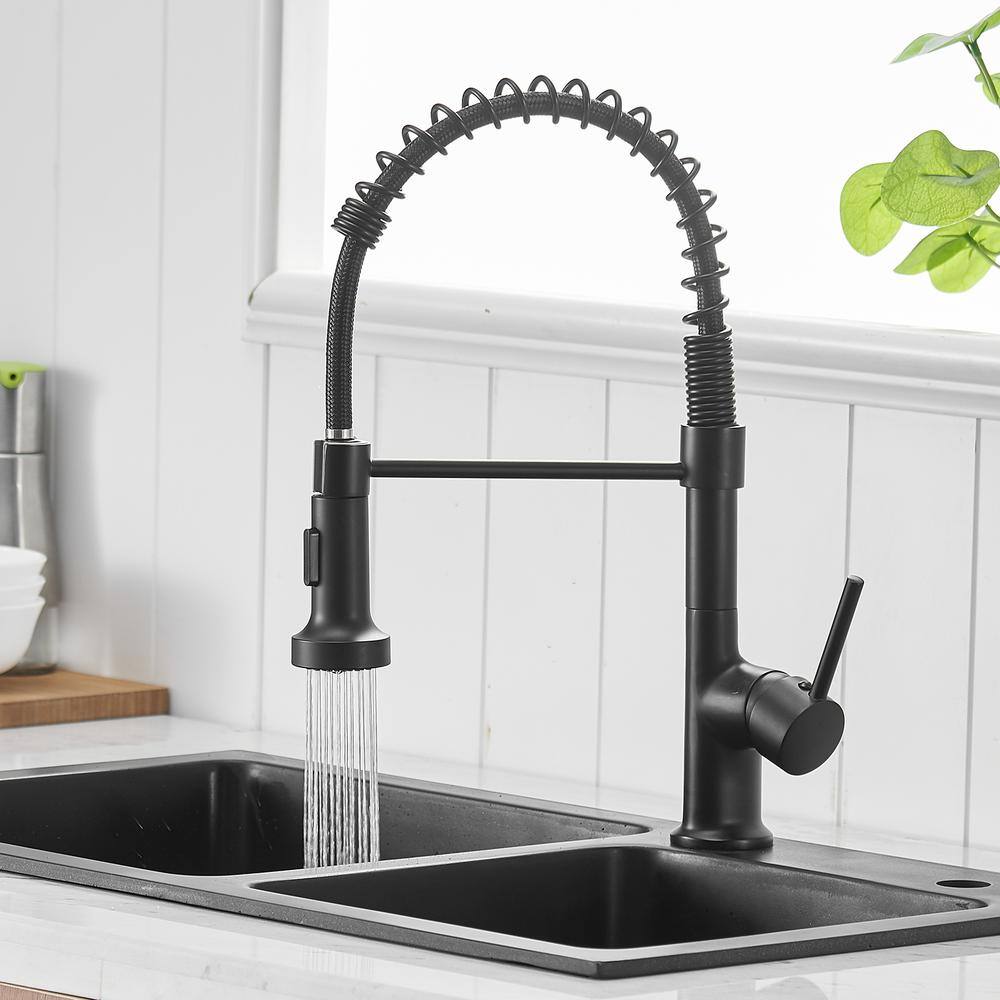 Matte Black Brass Single-Handle Pull-Down Kitchen Faucet