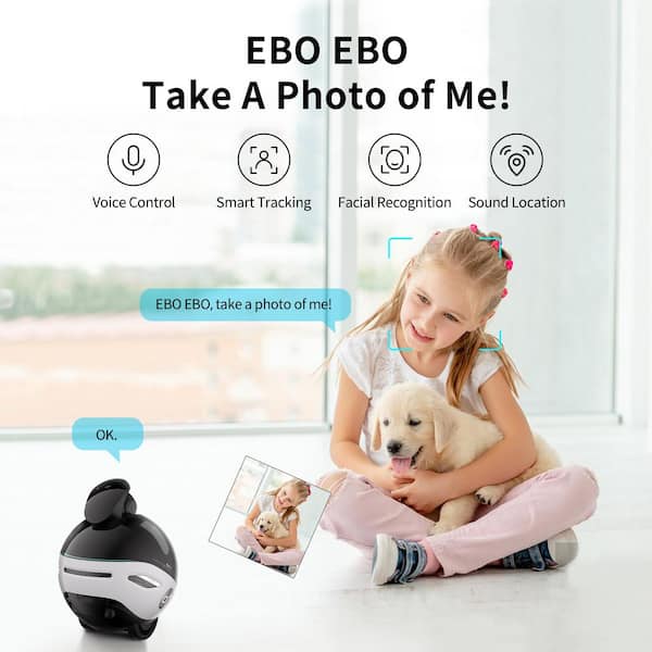 Enabot EBO X 4K UHD Stabilized Movable Indoor WiFi Smart Home