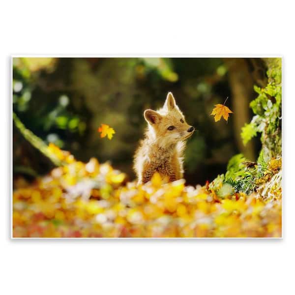 Stupell Industries Fox Watching Autumn Leaves by Carrie Ann Grippo-Pike Unframed Graphic Animal Art Print 10 in. x 15 in.