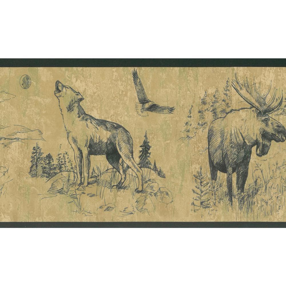[48+] Moose in Bathtub Wallpaper Border