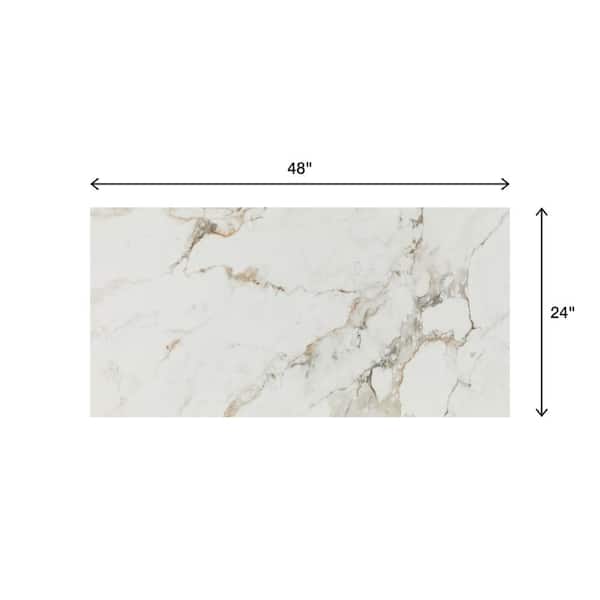 Daltile Maisto Safari Calacatta 6 in. x 6in. Glazed Porcelain Tile