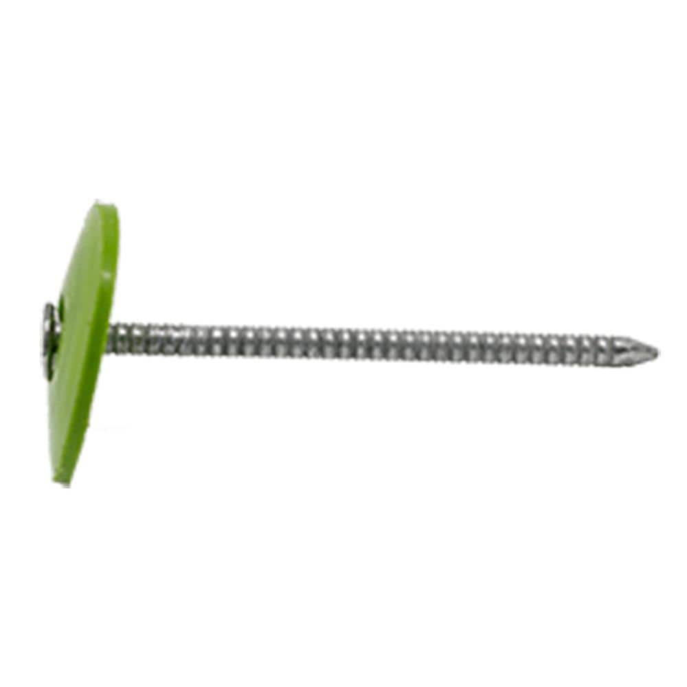 1 in. (2D) Electro Galvanized Ring Shank Nail with Plastic Cap (3000-Count) price history on PriceWatchPro