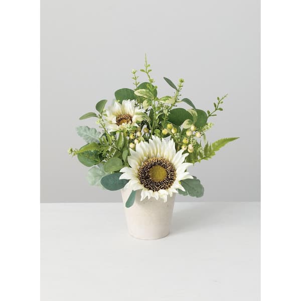 SULLIVANS 13 in. Artificial Potted White Sunflower, Eucalyptus and Berry