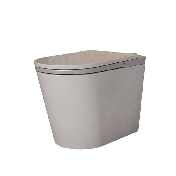 1.32 GPF Elongated Smart Bidet Toilet in White/Silver with Heated Seat Auto Open/Close/Flush