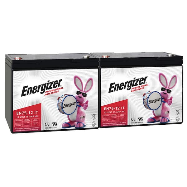 12V 75Ah Long Lasting SLA AGM Rechargeable Battery Use In Wheelchairs, Electric Scooters, Backup Power-2 Pack