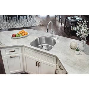 All-in-One Undermount 16-Gauge Stainless Steel 23 in. 0-Hole D-Shape Single Bowl Kitchen Sink with Gooseneck Faucet