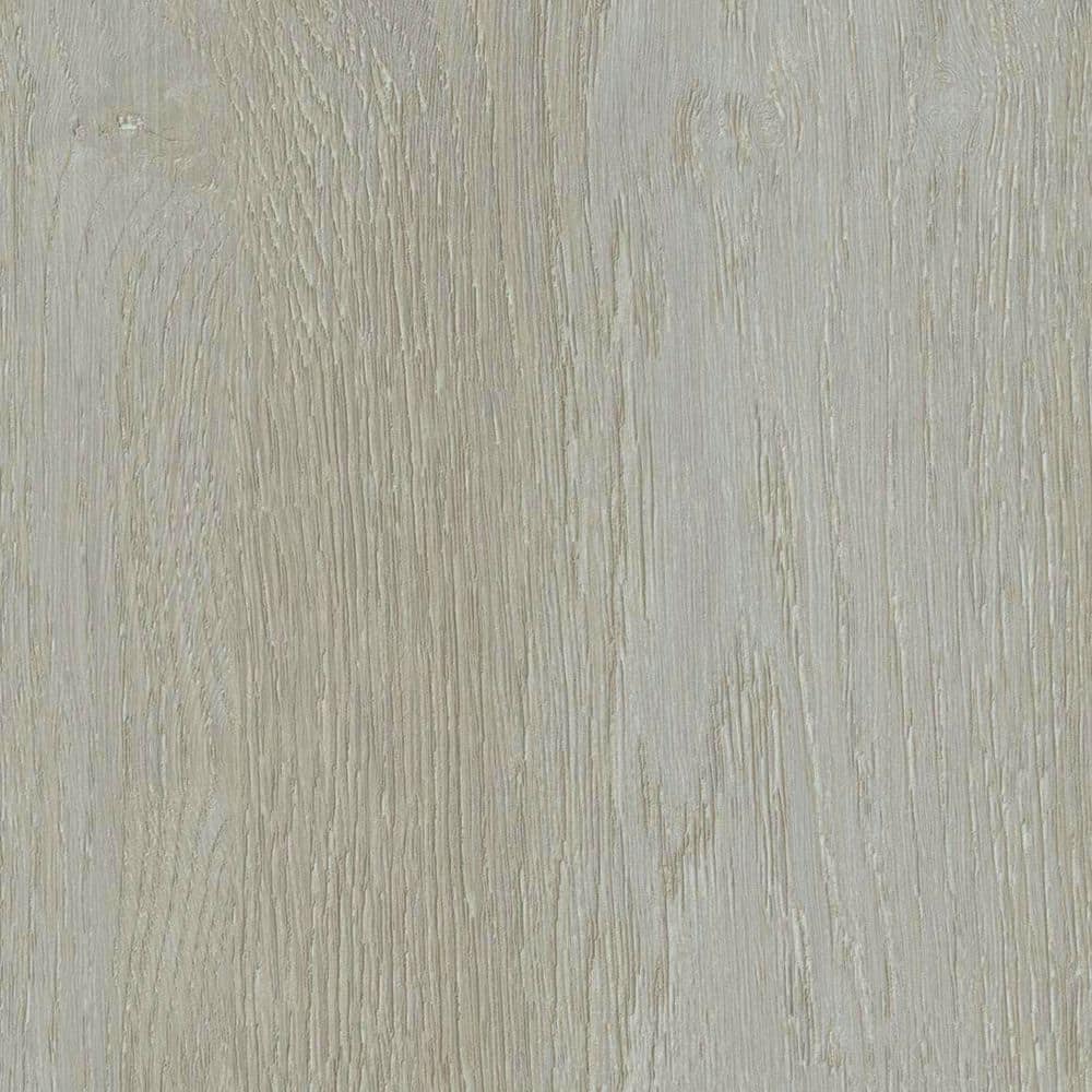 Take Home Sample-Harmony Haus 20 MIL x 9 in. W Darling Dove Click Lock Waterproof Luxury Vinyl Plank Flooring price history on PriceWatchPro