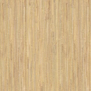 Daria Beige Grasscloth Beige Wallpaper Sample