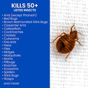 15 oz. Spray Home Pest Insect Killer