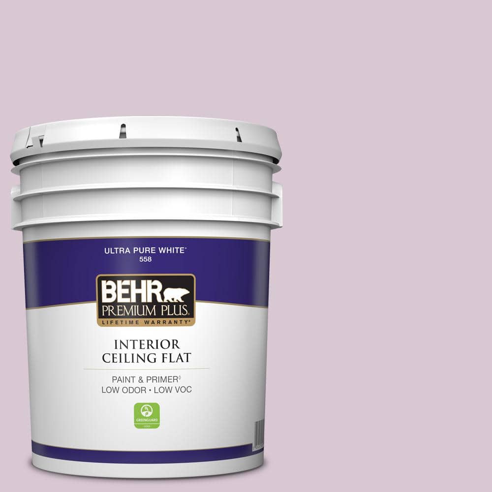5 gal. #S110-2 Orchid Haze Ceiling Flat Interior Paint price history on PriceWatchPro