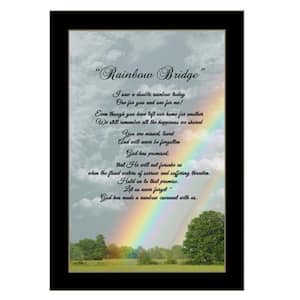 Rainbow Bridge by Unknown 1 Piece Framed Graphic Print Typography Art Print 12 in. x 10 in. .