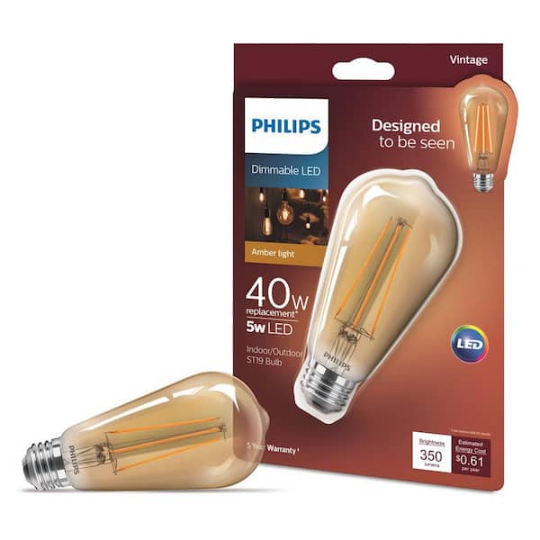 40-Watt Equivalent ST19 Dimmable Indoor/Outdoor Vintage Glass Edison LED Light Bulb Amber Warm White (2000K) (1-Pack)