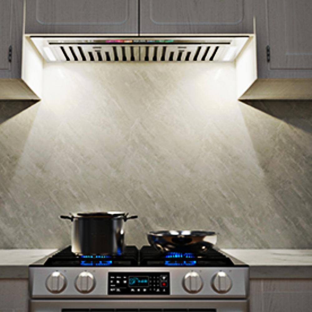 30-Inch Stainless Steel Convertible Range Hood with Charcoal Filter