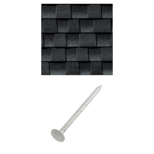 Timberline HDZ Charcoal Algae Resistant Shingles (33.33 sq. ft.) and 2 in. 6D Roofing Nails (4055-Count) Combo