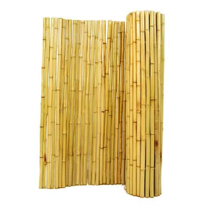 Bamboo - Garden Fencing - Garden Center - The Home Depot