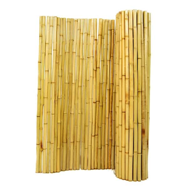 Backyard X-Scapes 4 ft. H x 8 ft. W x 1 in. D Natural Rolled Bamboo Fence