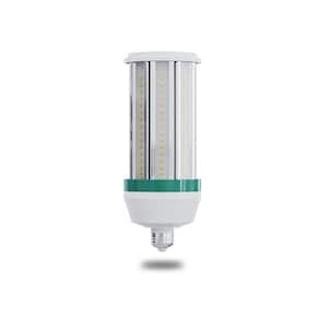 300-Watt Equivalent 5000 Lumens E26 LED Cob Light Bulb Daylight (5000K) (1-Bulb)