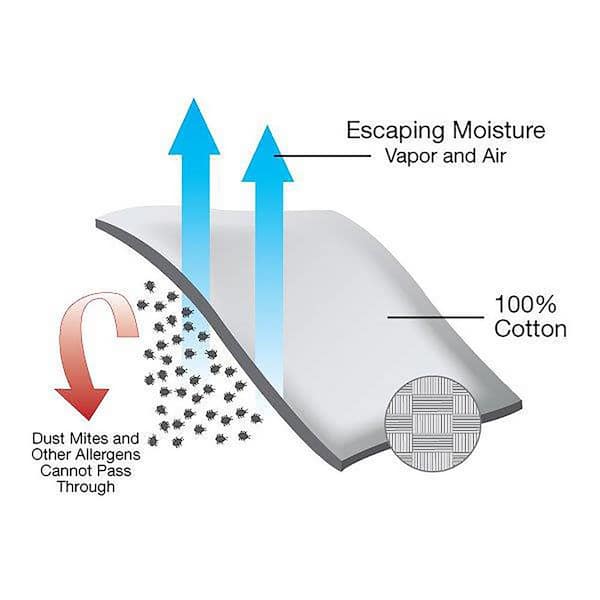 BedCare Hypoallergenic Waterproof Futon Protector