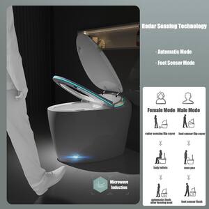 Smart Toilet with Auto Open Lid, Auto Flush, Adjustable Heater Warm Wind and Seat, Includes Remote Control Night Light