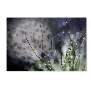 12 in. x 19 in. "Morning Tale" by Beata Czyzowska Young Printed Canvas Wall Art
