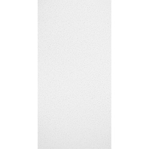 Armstrong CEILINGS Fine Fissured 2 ft. x 4 ft. Lay-in Ceiling Tile (32 ...