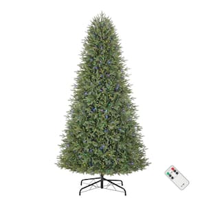 9 ft. Pre-Lit LED Jackson Noble Fir Artificial Christmas Tree