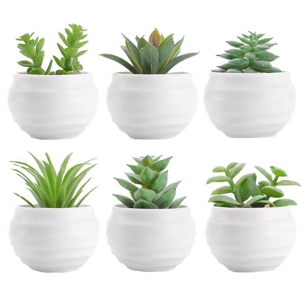 Afoxsos 120.00" H Set of 6 Small Artificial Succulent Plants in Pots for Home and Office Decor