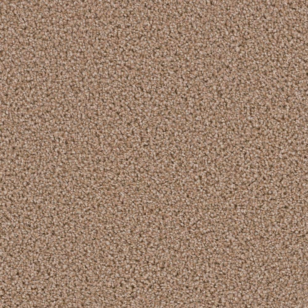 8 in. x  8 in. Texture Carpet Sample - Happy Chance -Color Blissful price history on PriceWatchPro