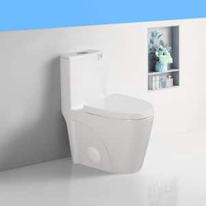 15 5/8 in. 1.1/1.6 GPF Dual Flush 1-Piece Elongated Toilet in Gloss White with Soft-Close Seat