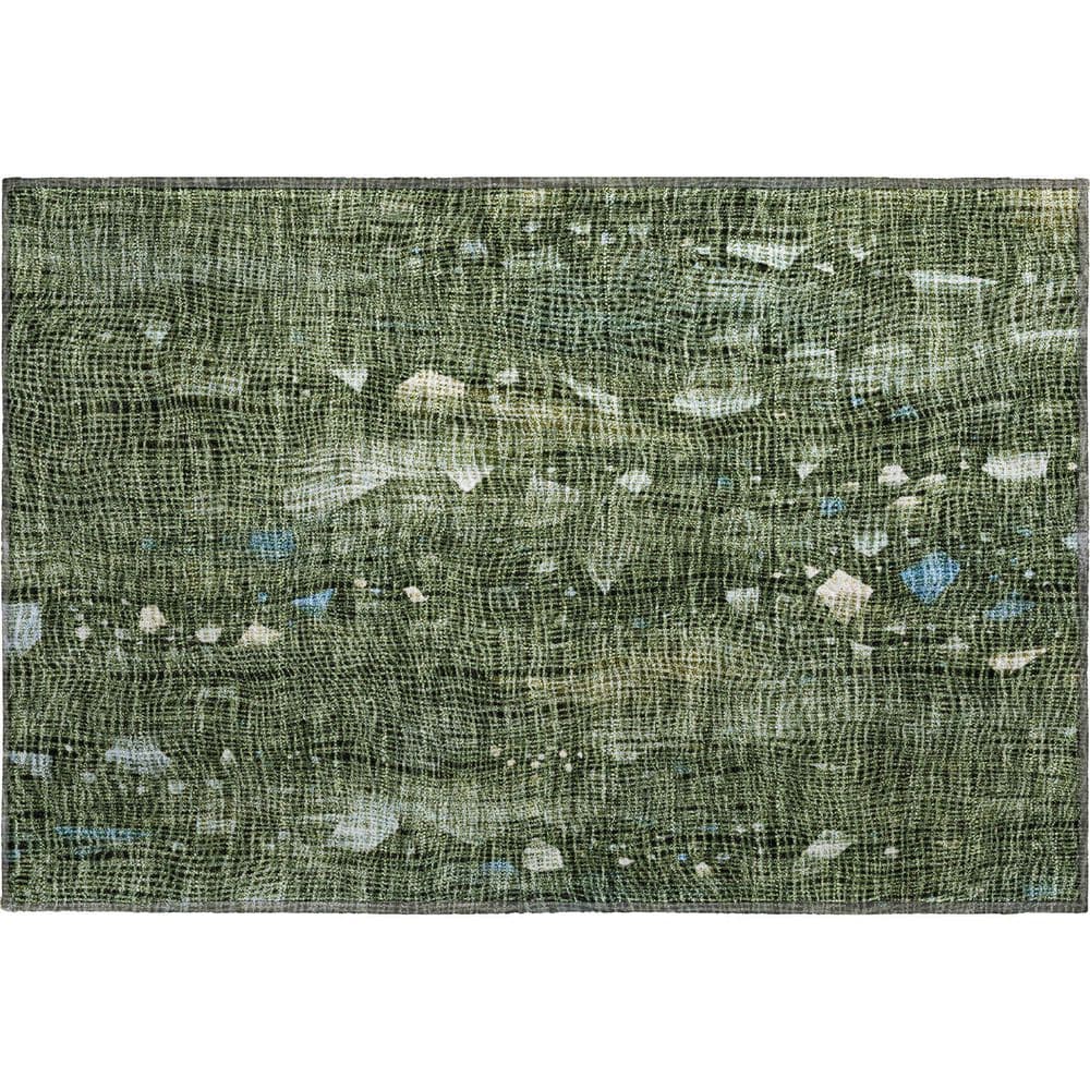 Mayfield Premium Machine Washable Abstract AMF2092 Fern 2 ft. x 3 ft. Accent Rug price history on PriceWatchPro