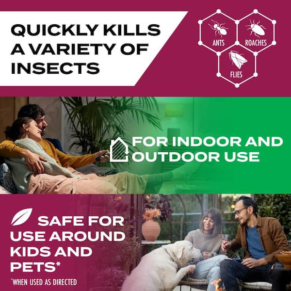 12 fl.oz. Kills Ants, Roaches and Flies, Plant-based Active Ingredient Insecticide, Insect Killer Aerosol Spray (2-Pack)