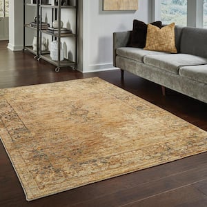 Aurora Gold/Brown 5 ft. x 7 ft. Distressed Area Rug