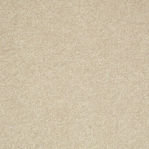 8 in. x 8 in. Texture Carpet Sample - Brave Soul II - Color Tea and Honey
