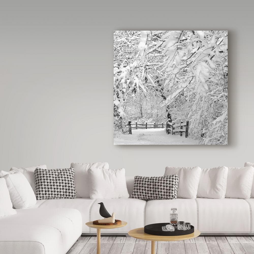 Winter Wonderland White Canvas Art Print, 14x14