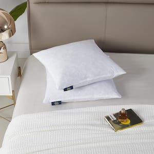  ACCENTHOME 20x20 Pillow Inserts (Pack of 4) Hypoallergenic  Throw Pillows Forms, White Square Throw Pillow Insert