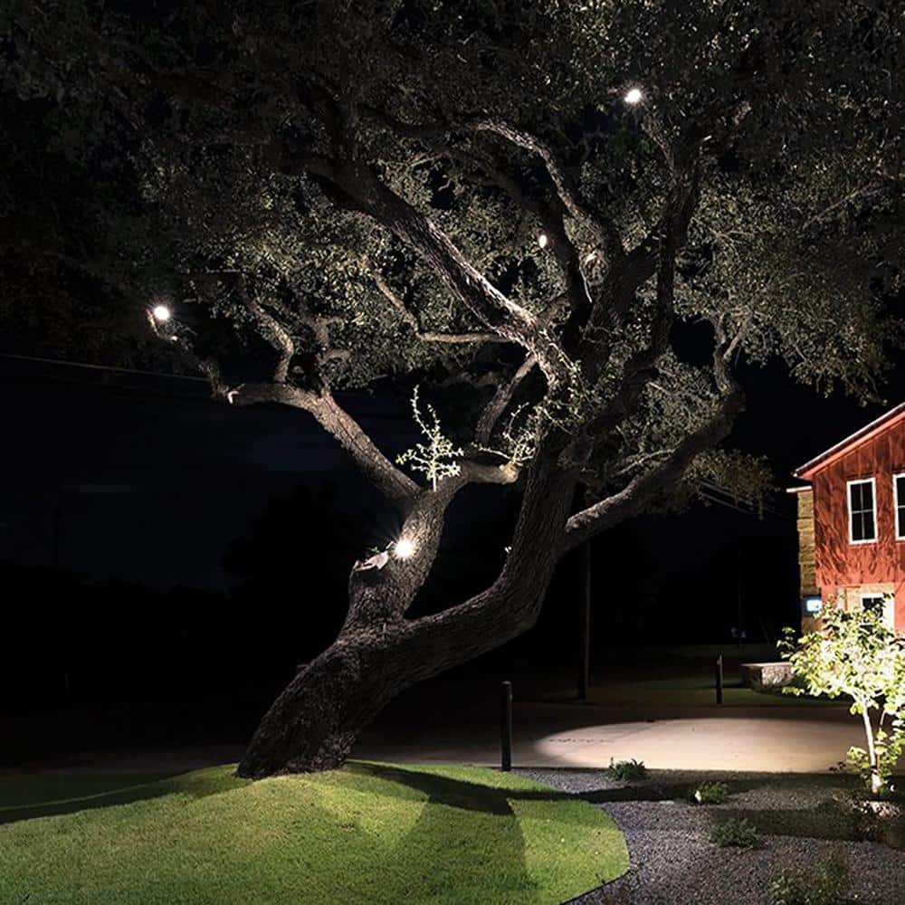 Bronze Low Voltage LED Landscape Spotlight