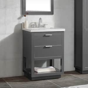 Allie 25 in. W x 22 in. D Bath Vanity in Gray with Silver Trim with Quartz Vanity Top in White with Basin