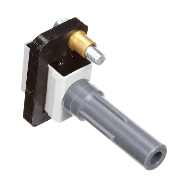 Delphi Ignition Coil