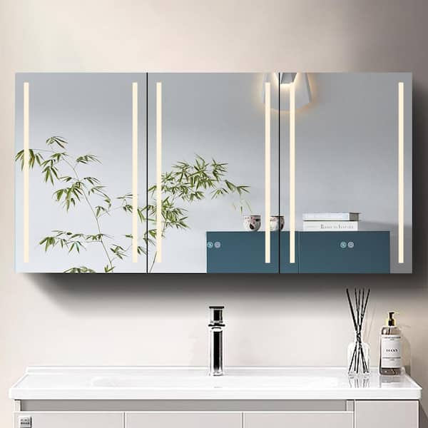 Adjustable Shelves Medicine Cabinets at