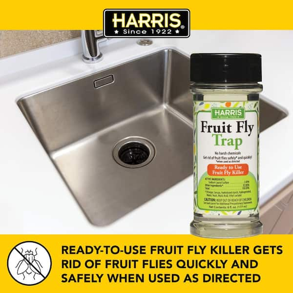 Bomgaars : Raid Fruit Fly Traps, 120 Day Supply, Non-Toxic Insect Killer,  2-Count : Fly Traps