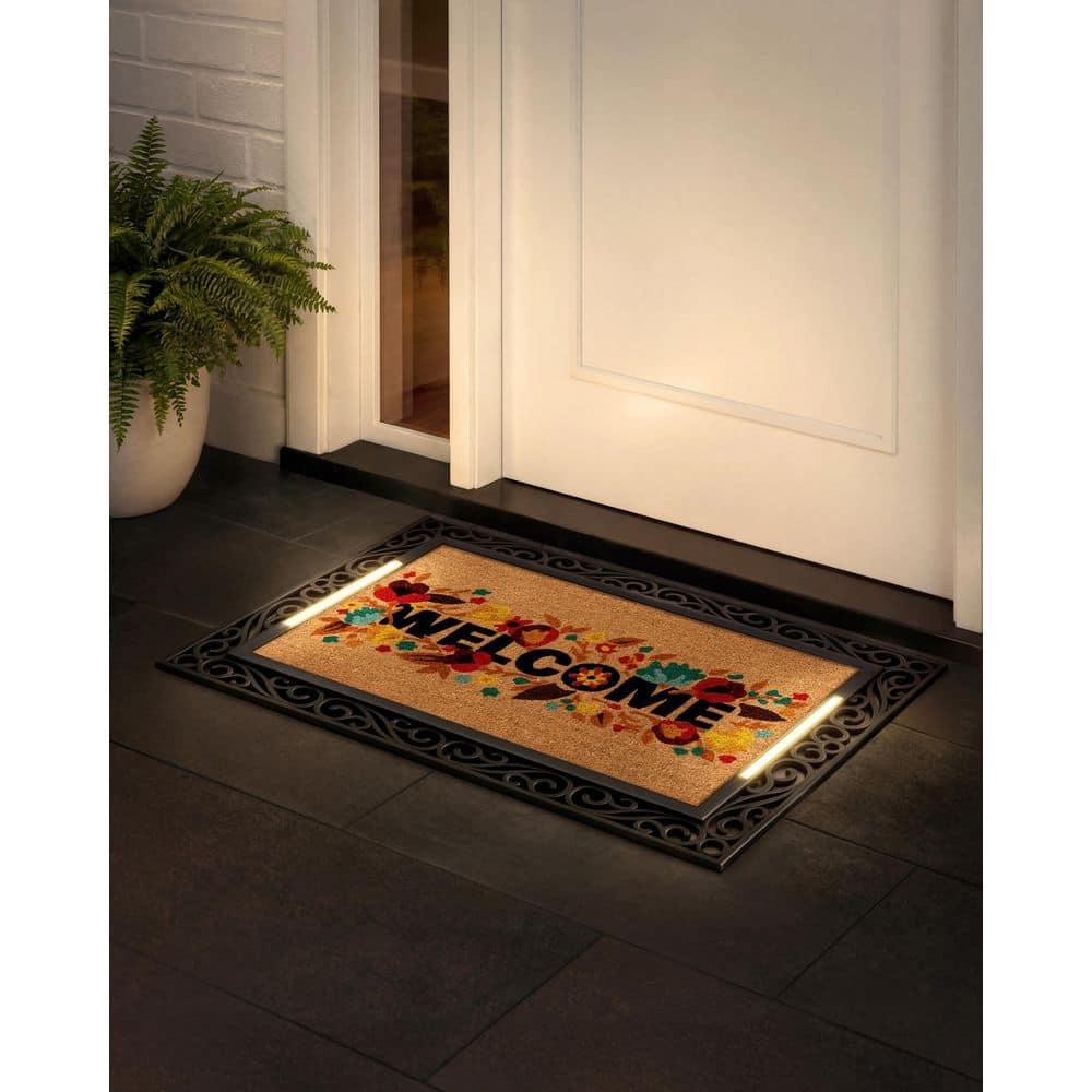 BriteStep Robin Bird 38 in. x 26.5 in. Pressure-Activated, Wireless, Auto Shut-Off, Indoor/Outdoor LED Door Mat price history on PriceWatchPro