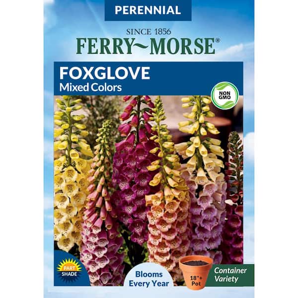 Ferry-Morse Foxglove Mixed Colors Flower Seeds