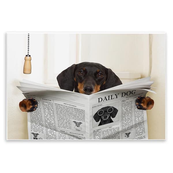 Dog On Toilet Newspaper by In-House Unframed Graphic Art Print Animal 10 in. x 15 in.