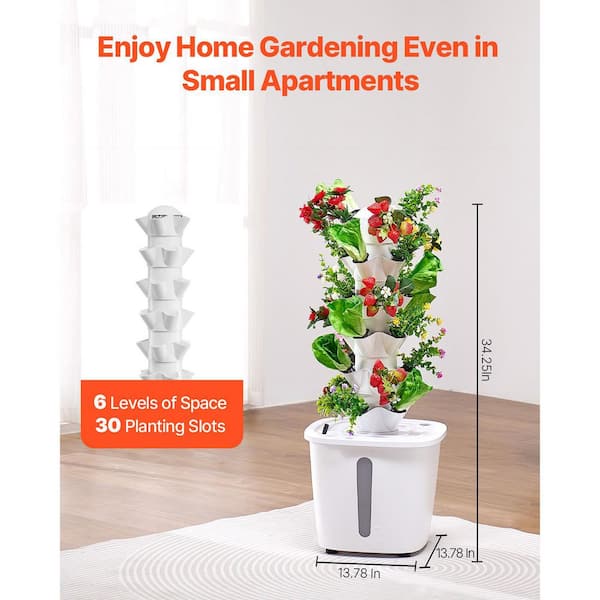 money plant to buy Money Tree Plant with Planter - Small (12"-16" tall) Cream Planter