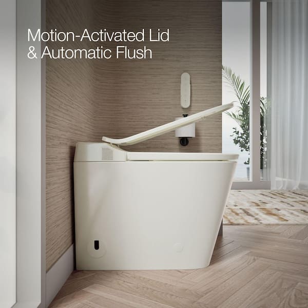 田我流とカイザーソゼ 1LP 12inch KOHLER Leap 12 in. 1-Piece 1.0/1.28 GPF Dual Flush Elongated Smart