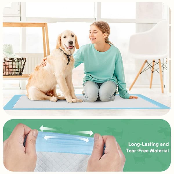 Misopily 100 Count 22 in. x 22 in. Ultra Absorbent Leak Proof Quick Drying Pet Pee Pads for Small to Large Dogs Indoor Use