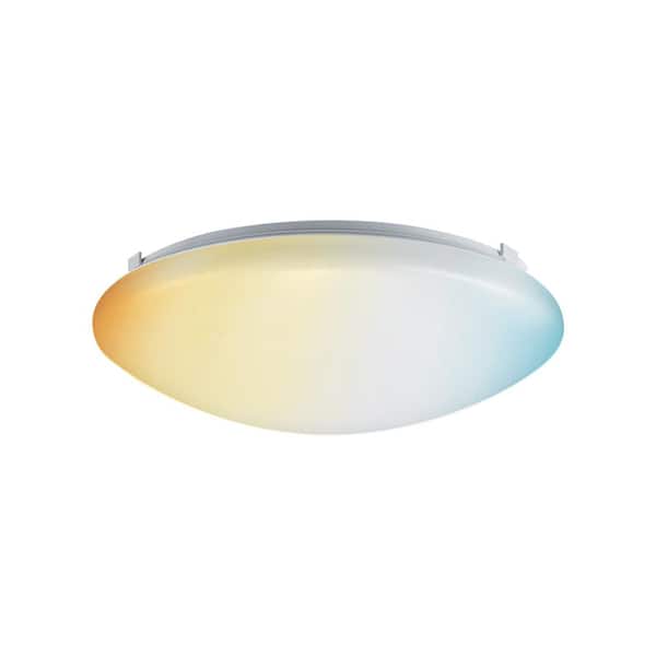 Globe Electric 11 In Dimmable, Flush Mount Ceiling Light Replacement Globe