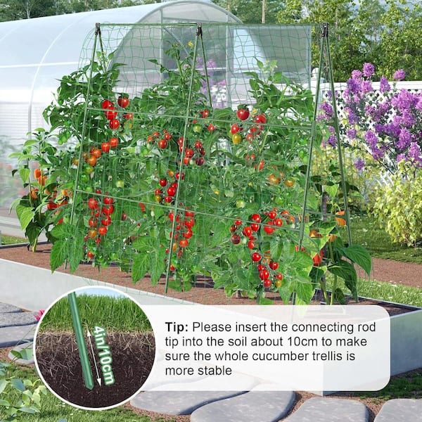 55 in. Green Metal A-Frame Cucumber Trellis Plant Support for Climbing  Vegetables and Tomatoes HY113-2 - The Home Depot