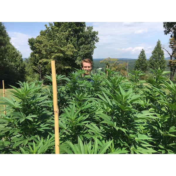 8 Oz. Microbial Root Probiotic/Soil Amendment 8 Oz. Microbial Root Probiotic/Soil Amendment